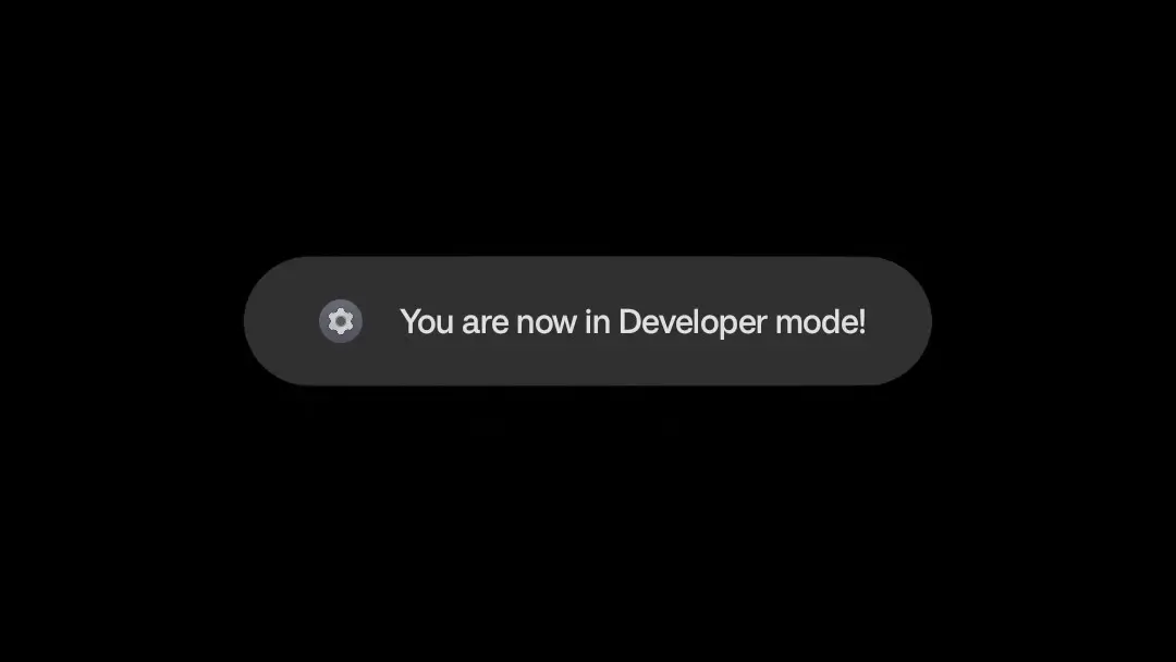 activate developer mode