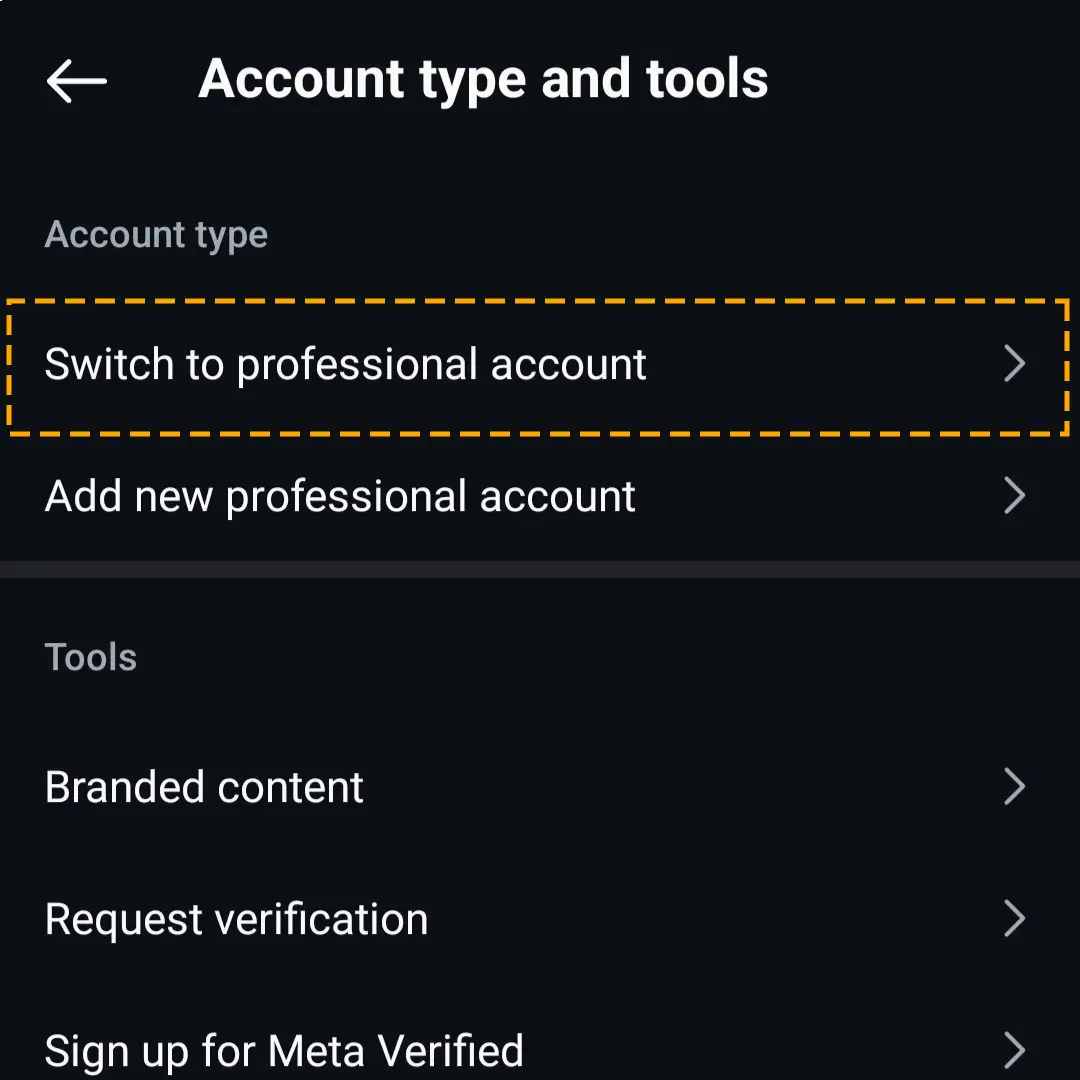 choose switch to professional account