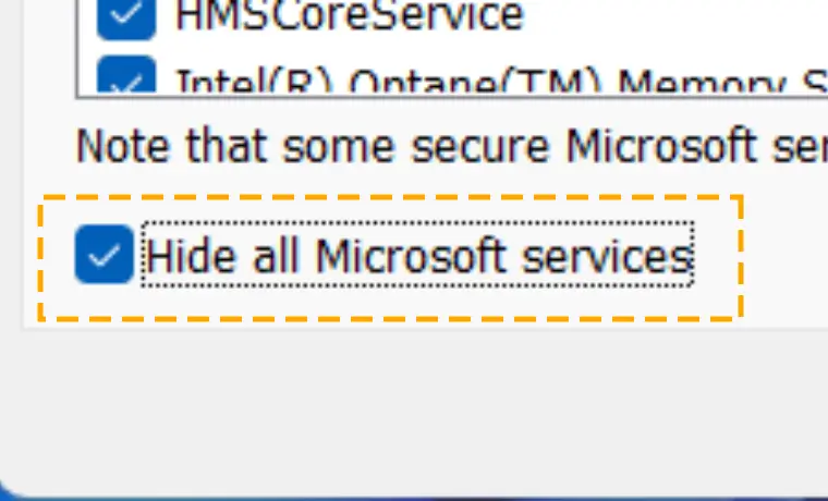 hide microsoft services in system configuration