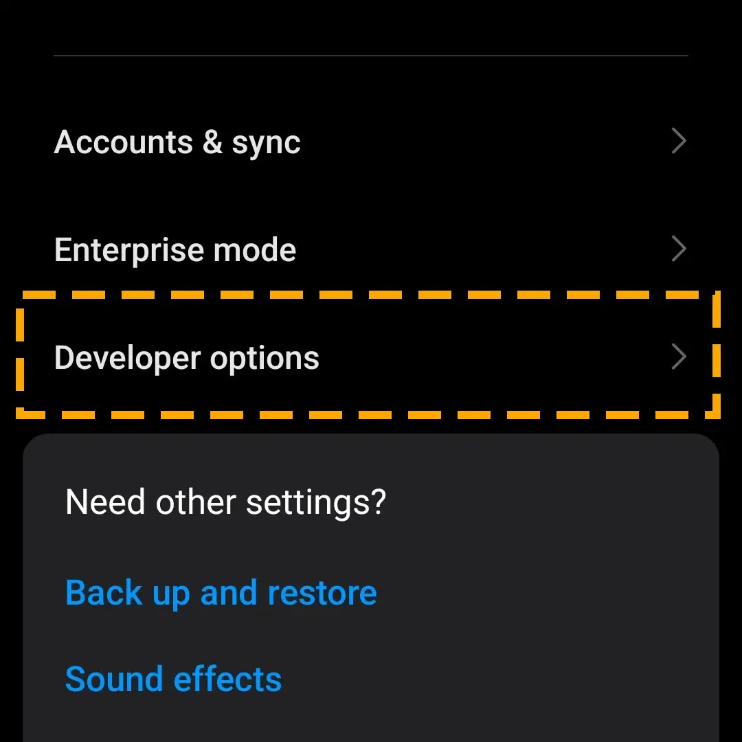 developer options in settings