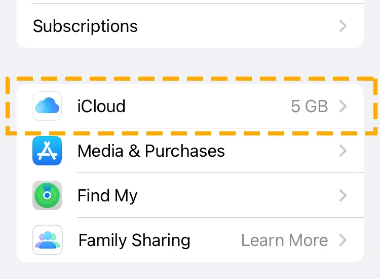 icloud option in apple settings