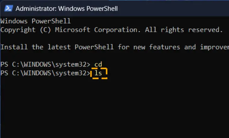 ls in powershell terminal