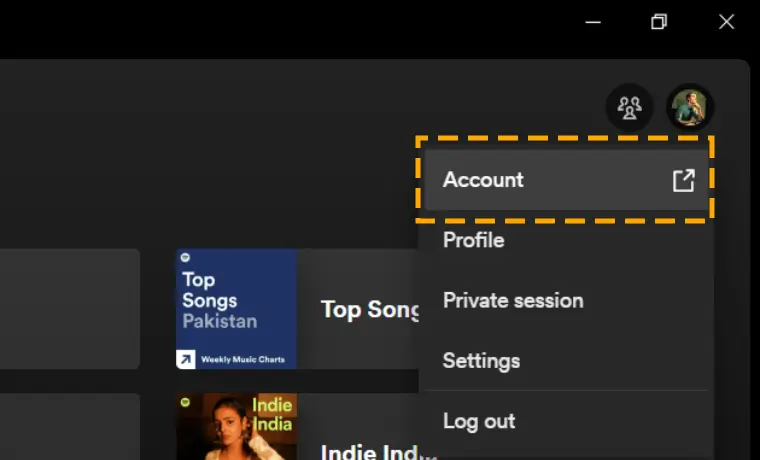 menu dropdown on spotify