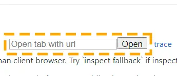 paste url to inspect