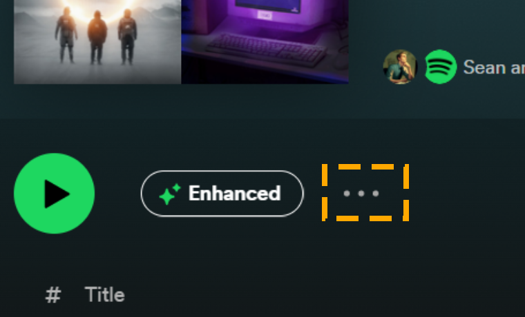 playlist option icon