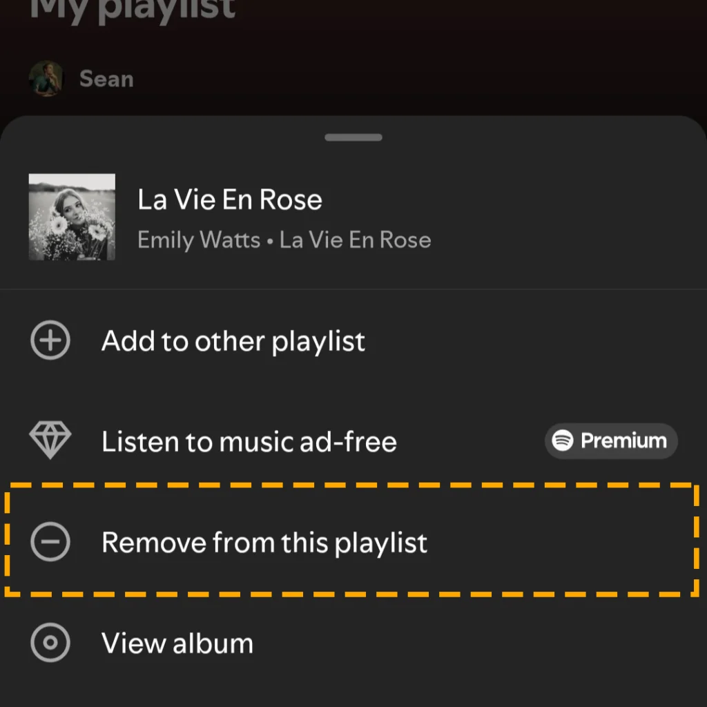 remove single track from a playlist