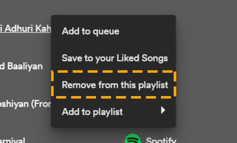 remove songs from the playlist