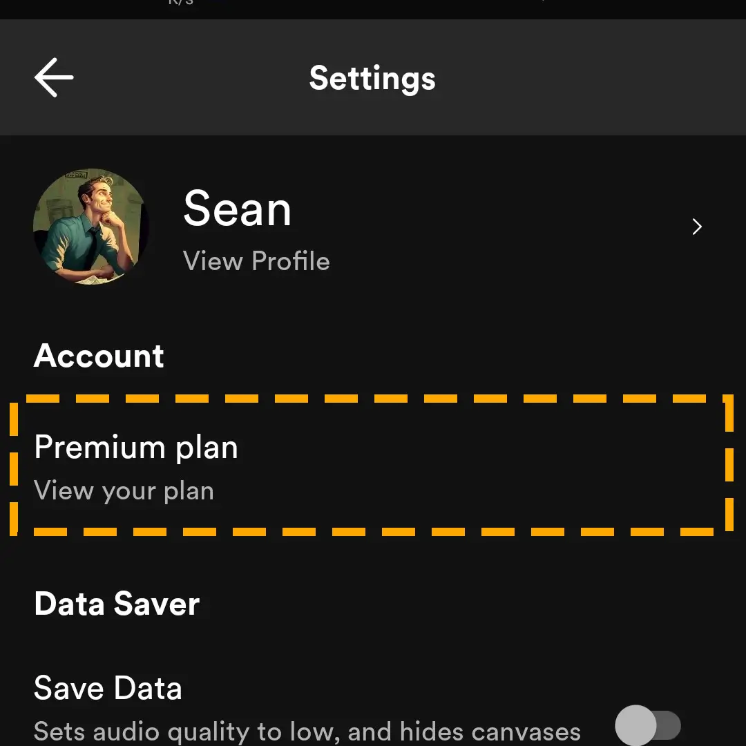 spotify account settings