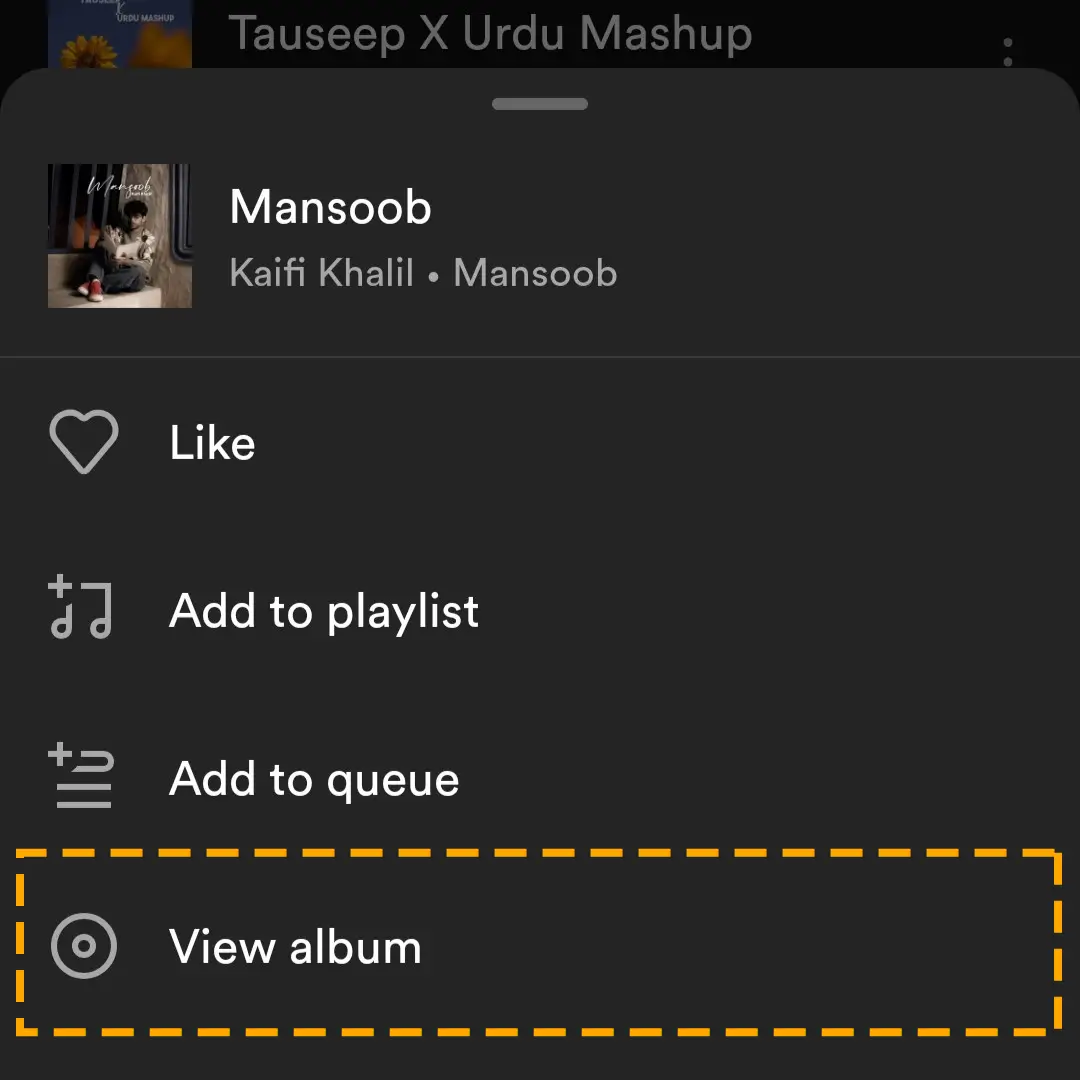 view album in options of the song