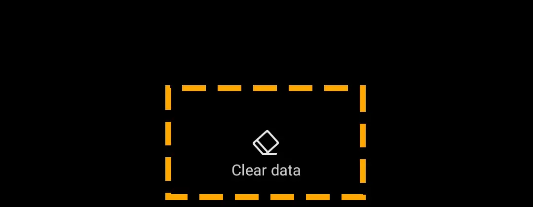 clear insta app data