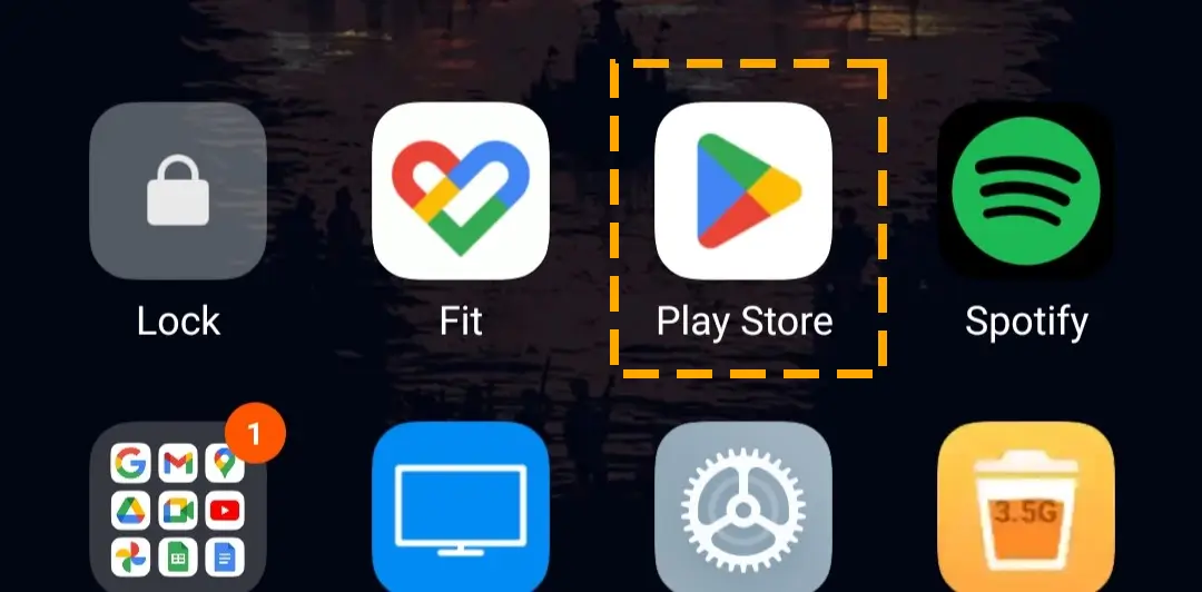 play store app