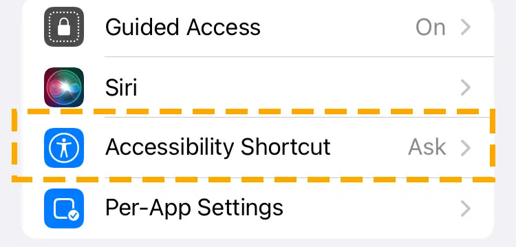 accessibility shortcut option