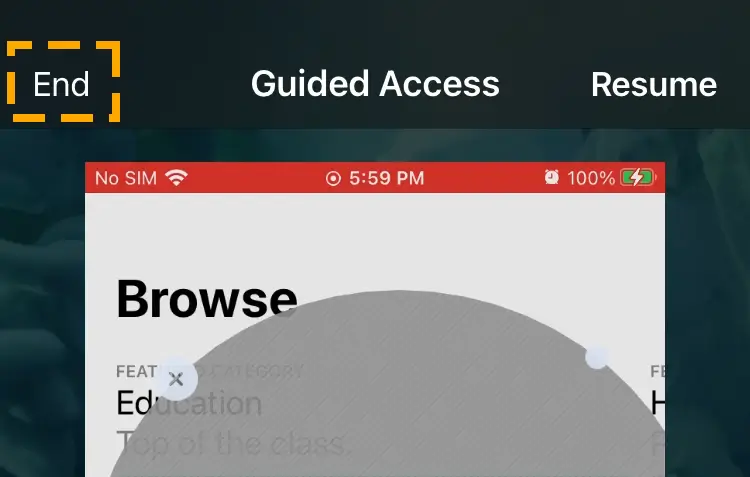end guided access