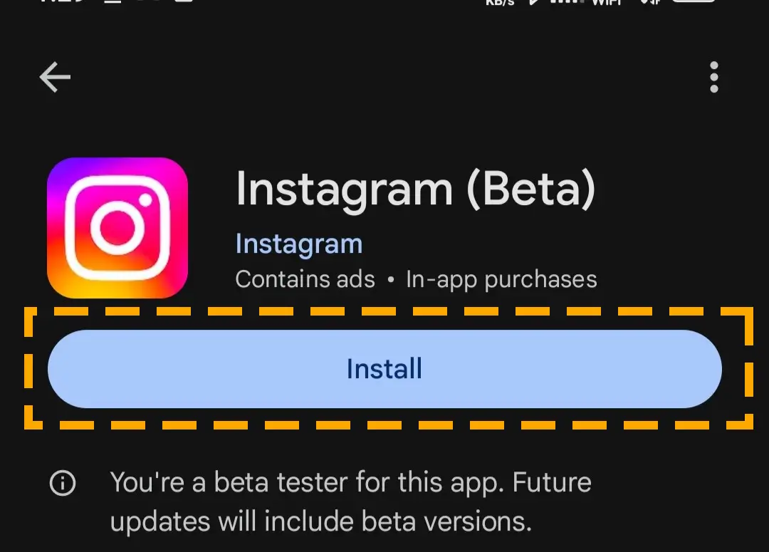 install the insta app