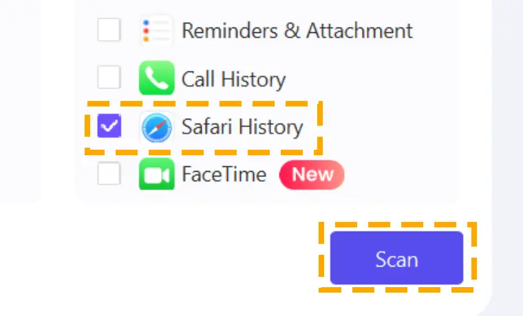 scan for safari history