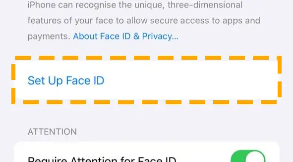 set up new face id